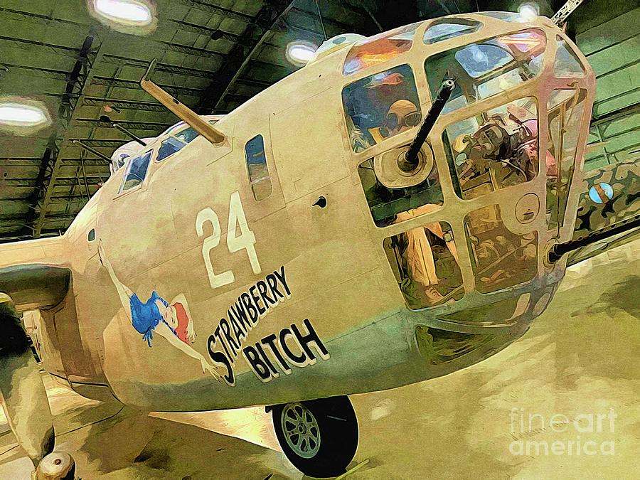 Strawberry Bitch. Ploesti Mission Veteran B-24 Liberator Digital Art by ...