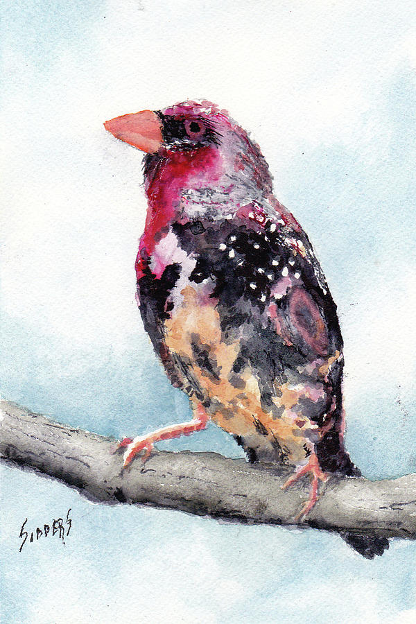 Strawberry Finch Painting by Sam Sidders