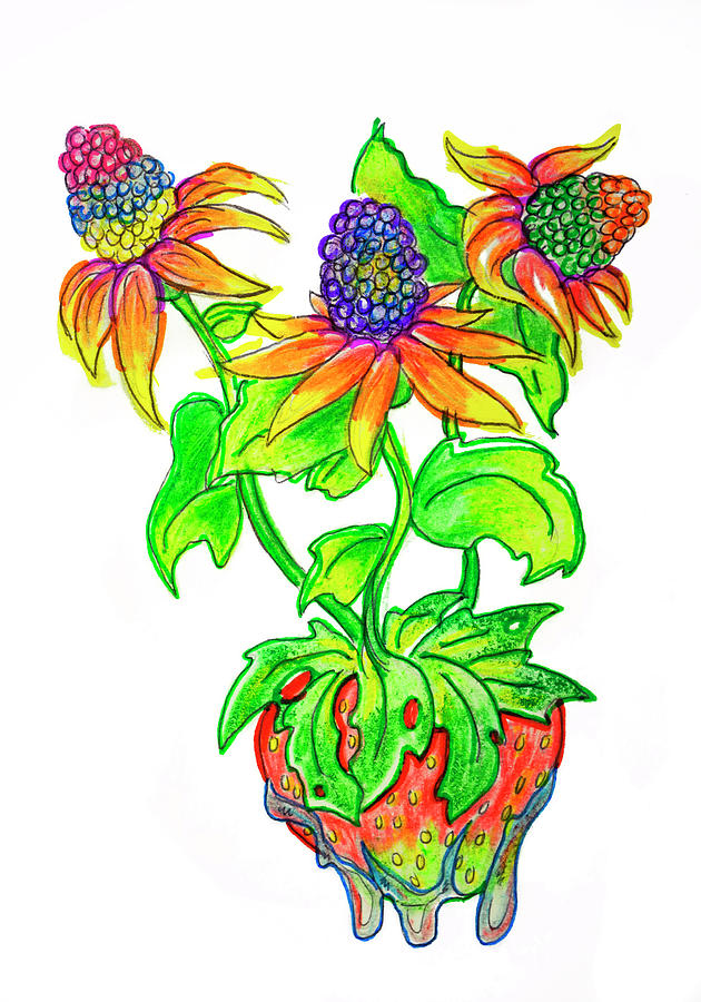 Strawberry Flowers Drawing by Makayla Johnson Fine Art America