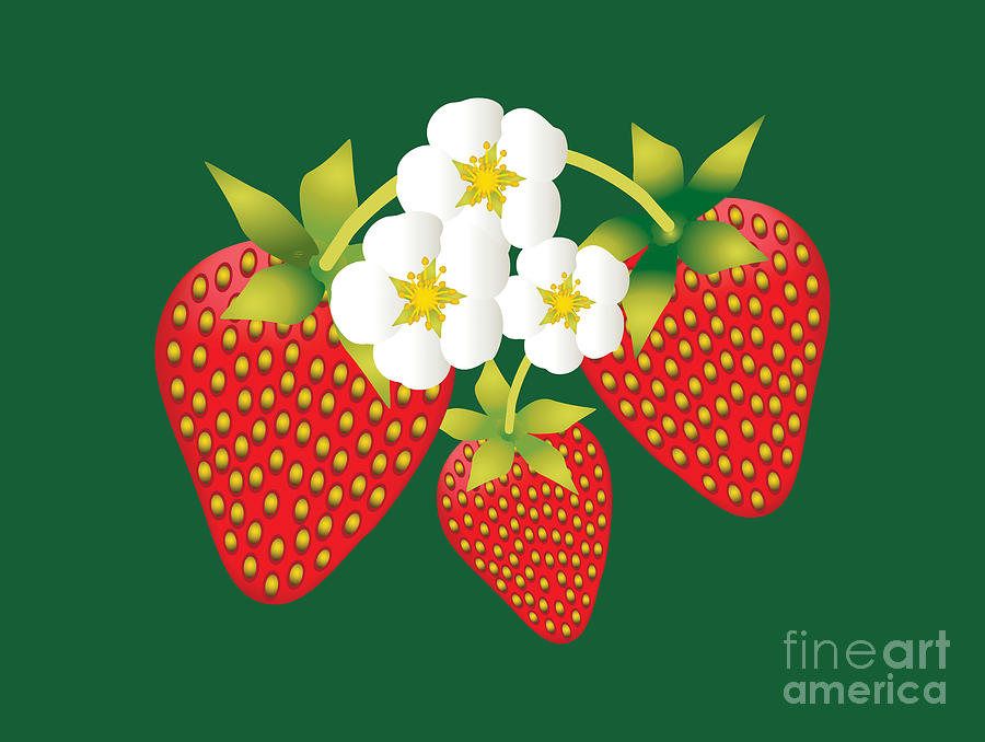 Strawberry, Fruit, Summer, Food, Strawberry Merch,  Digital Art by David Millenheft