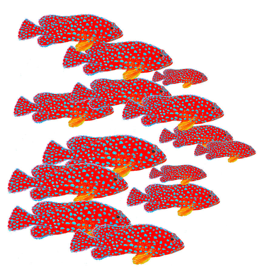 Strawberry Grouper Fish School Painting by Jan Matson
