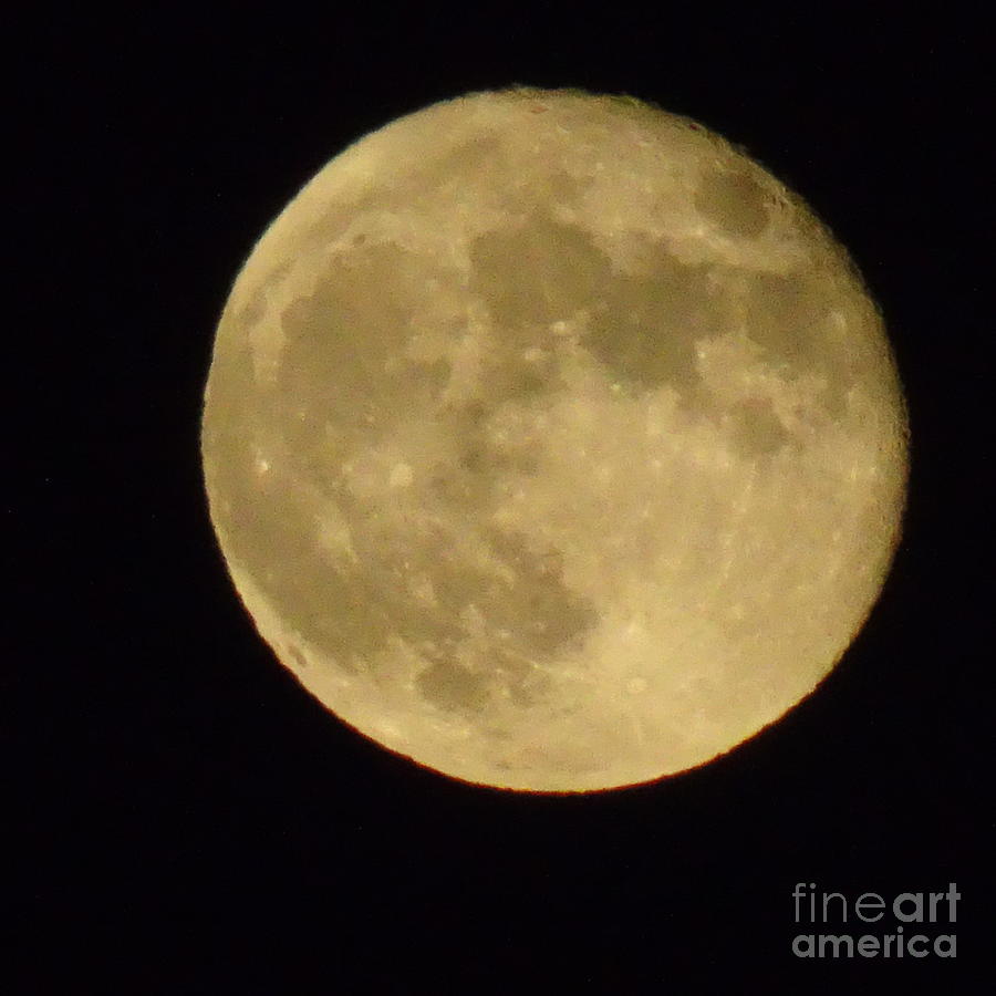 Strawberry Moon 060620 1102pm Photograph