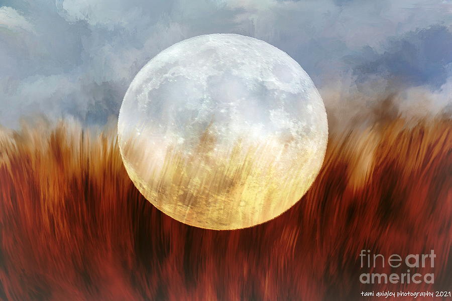 Strawberry Moon Field Photograph by Tami Quigley