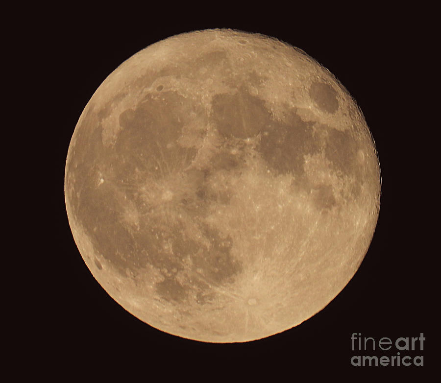 Strawberry Moon  June 14, 2022 Photograph by Sheila Lee