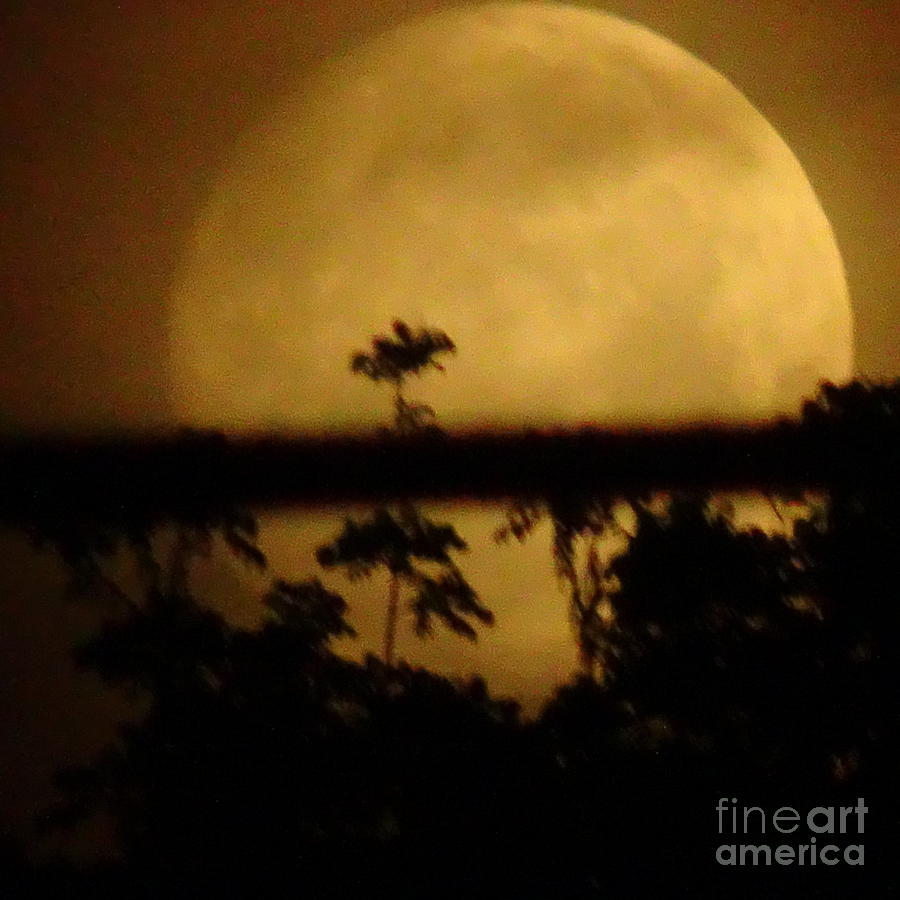 Strawberry Moon Rising 060620 Photograph