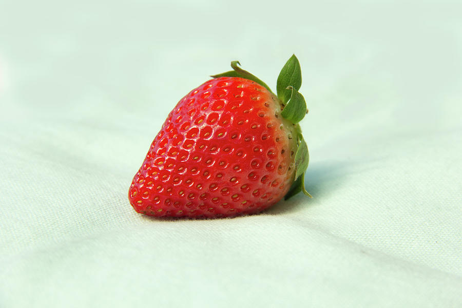 Strawberry Photograph by MPhotographer