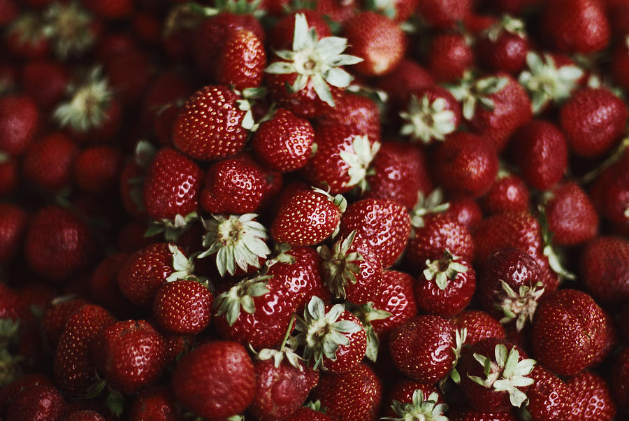 Strawberry punnet Photograph by Rengim Mutevellioglu