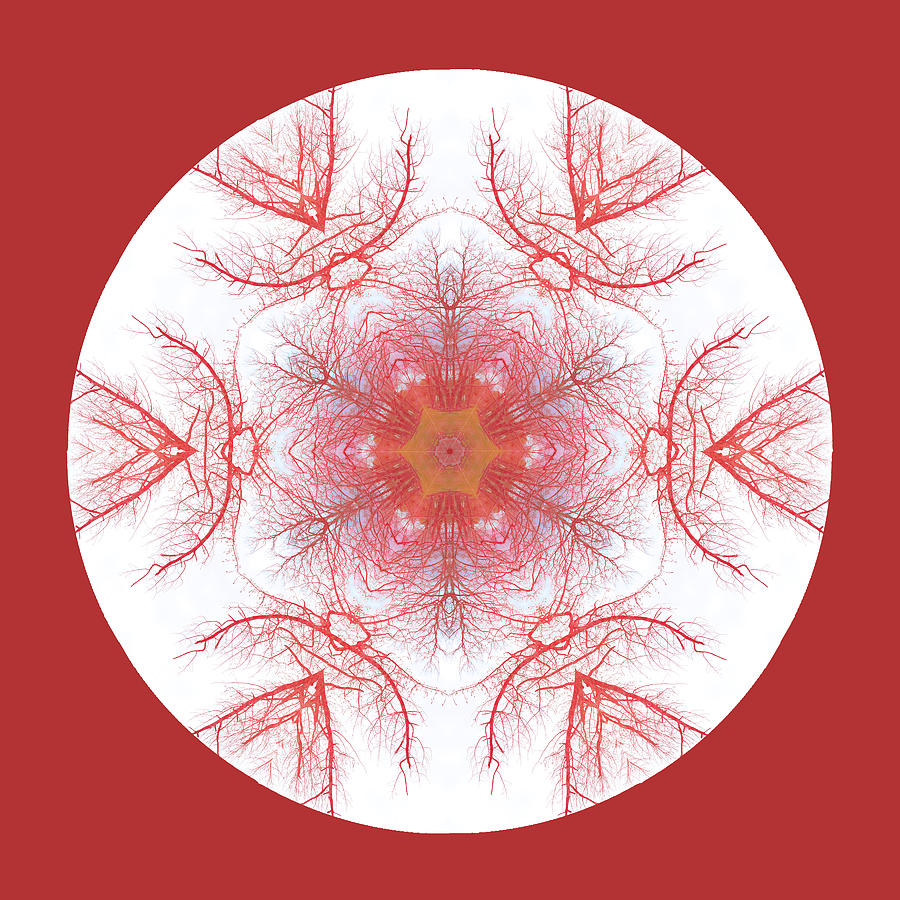 Strawberry Tree Mandala Digital Art