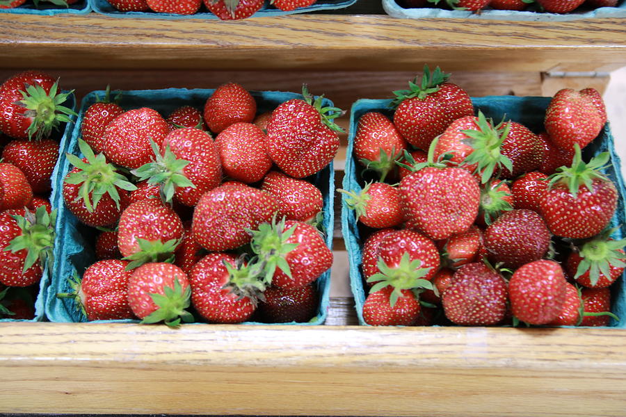 Strawberrys Photograph by Rick Redman