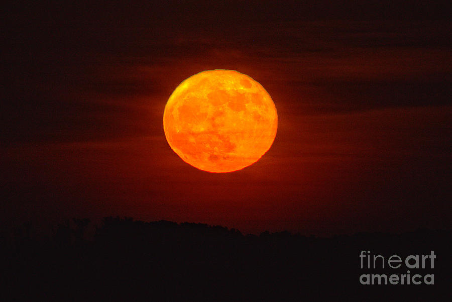 Strawbery Moon Over The Chesapeake Bay Photograph by Adam Jewell