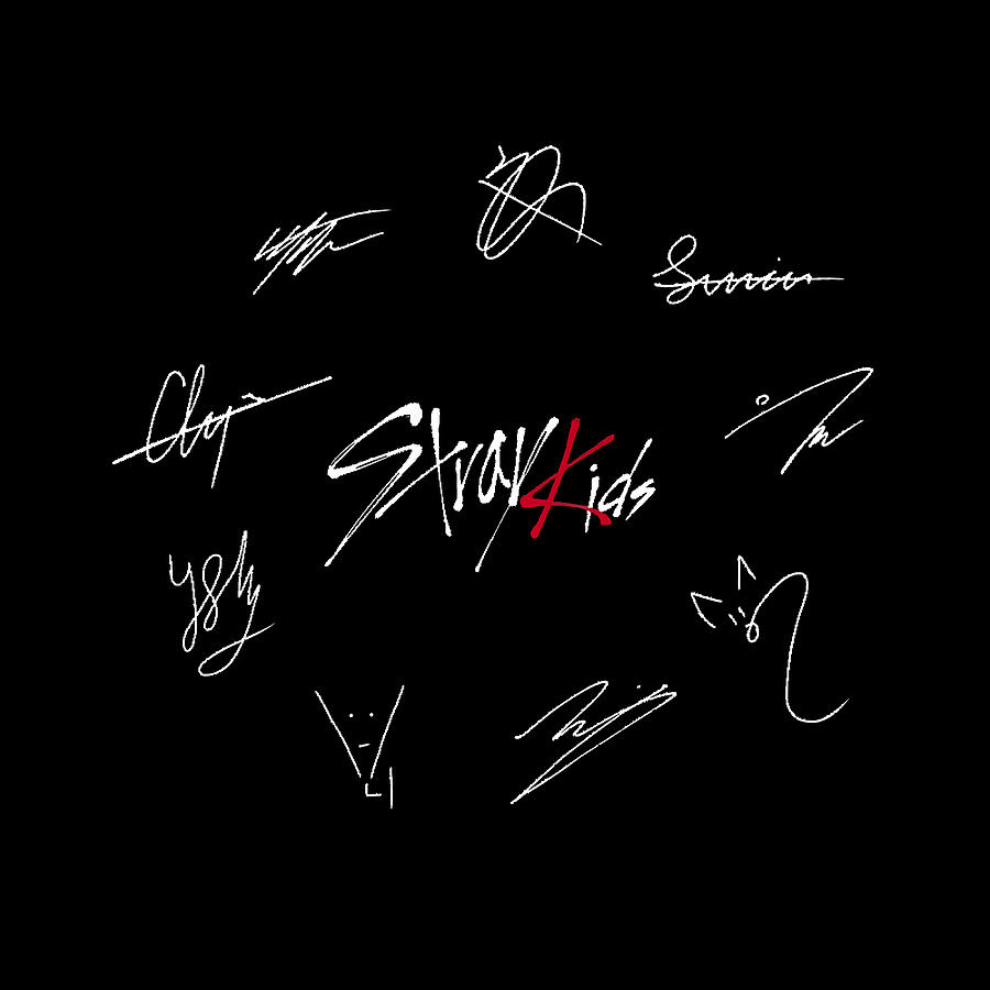 Stray Kids Signatures Red Version gift Painting by Abbie Hollie | Pixels