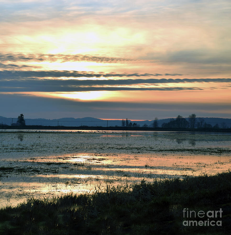 Streaky Skagit Sunset Photograph by Sea Change Vibes
