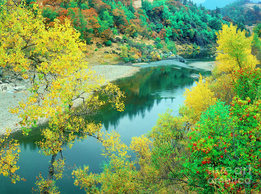 Stream Fall Color Fir Trees Central California Photograph by Dave Welling