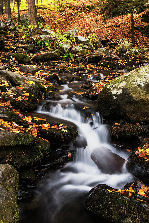 Stream flowing at Bushkill Falls State Park Pennsylvania USA Photograph ...