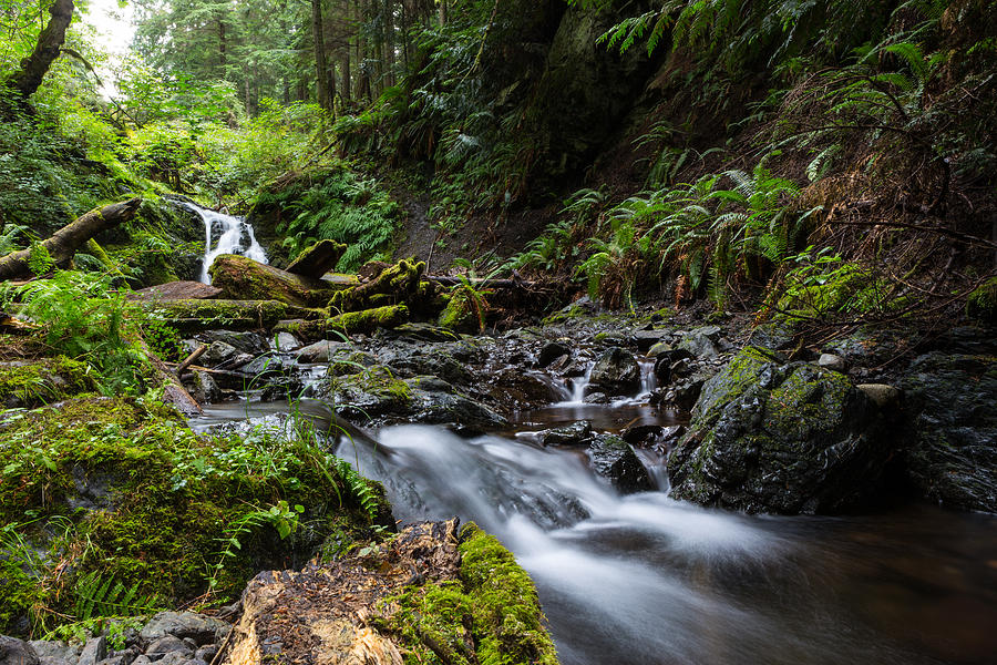 Stream flowing over rocks in forest, Moran State Park, Orcas Island, Puget Sound, San Juan Islands, Washington State, USA Photograph by Pascal Walschots