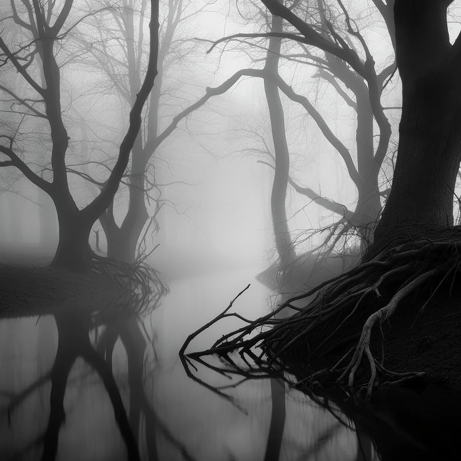 Stream Flows Calmly Through Trees Digital Art by YoPedro