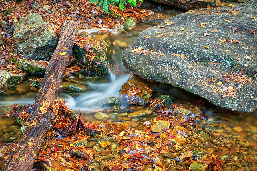 Stream In Fall Photograph by Meta Gatschenberger