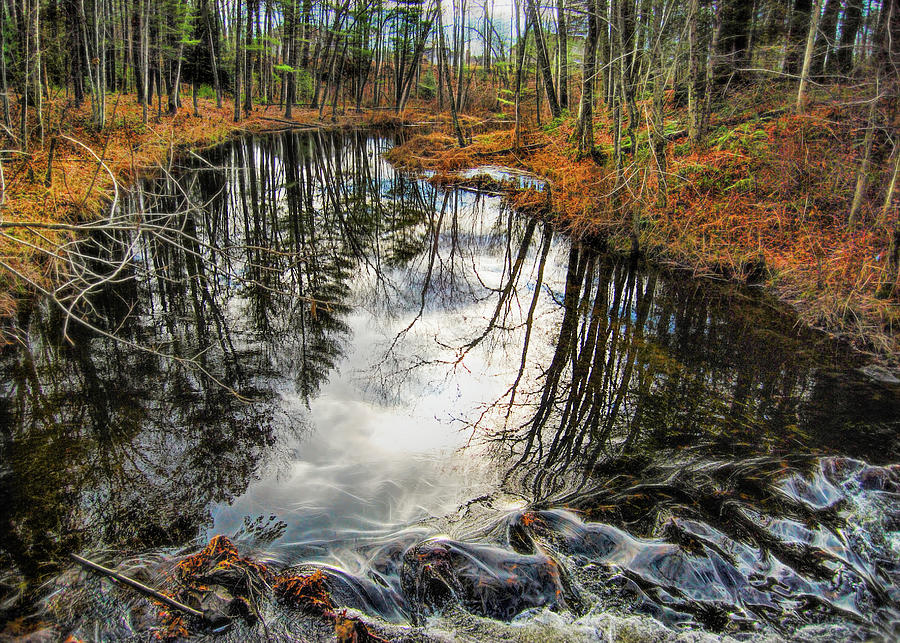 Stream in Granby Photograph by Cordia Murphy