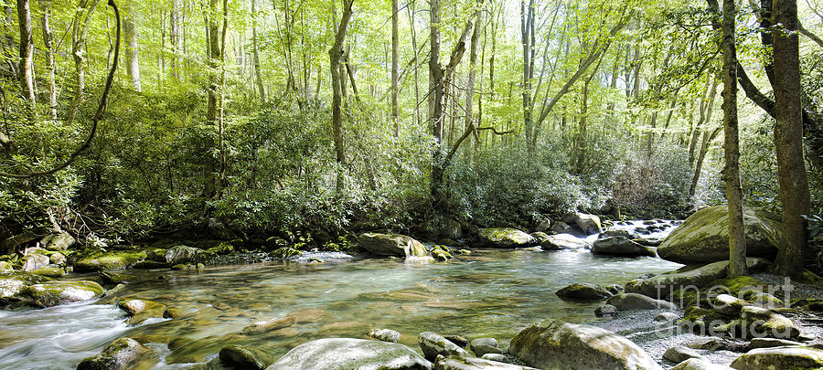 Stream In Greebrier Area, Great Smoky Mountains National Park Photograph by Felix Lai