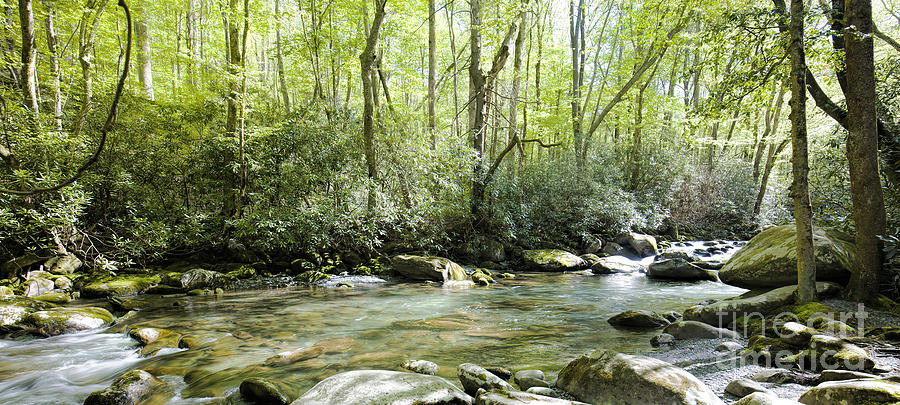 Great Smoky Mountains National Park Photograph - Stream In Greebrier Area, Great Smoky Mountains National Park by Felix Lai Great Smoky Mountains National Park Photograph - Stream In Greebrier Area, Great Smoky Mountains National Park by Felix Lai