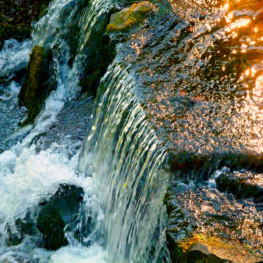 Stream in Morning Sunlight Squared Photograph by Mike McBrayer
