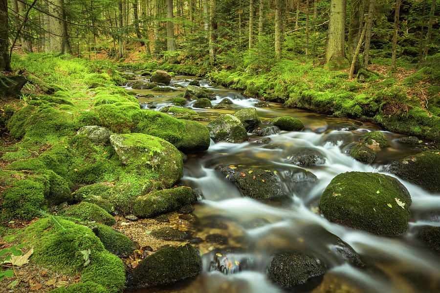 Waterfall Photograph - Stream in the Forest by Tobias Luxberg Waterfall Photograph - Stream in the Forest by Tobias Luxberg