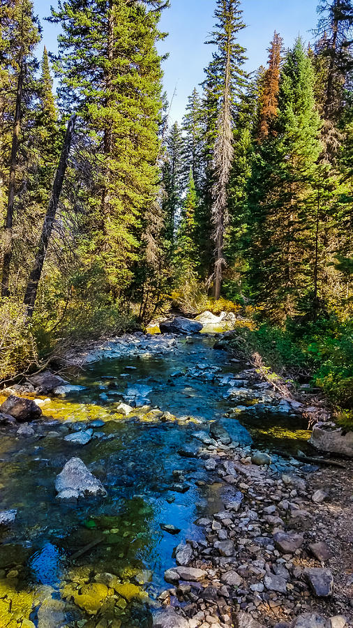 Stream in the Grand Tetons Photograph by John Marr - Fine Art America