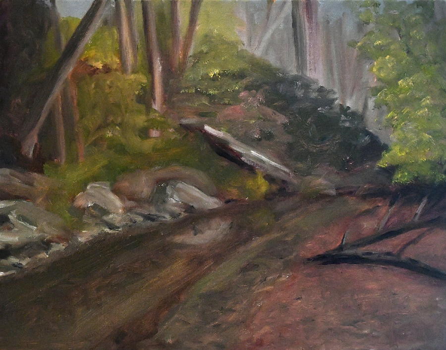 Smoky Mountains Painting - Stream in the Smokies - East Tennessee by Kelly Lane