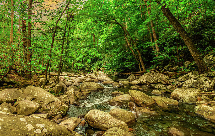 Stream in the Smokies Photograph by John Marr