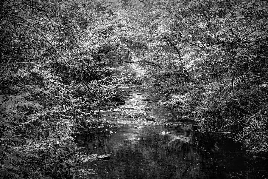 Stream in the Smoky Mountains Autumn Black and White Photograph by Debra and Dave Vanderlaan