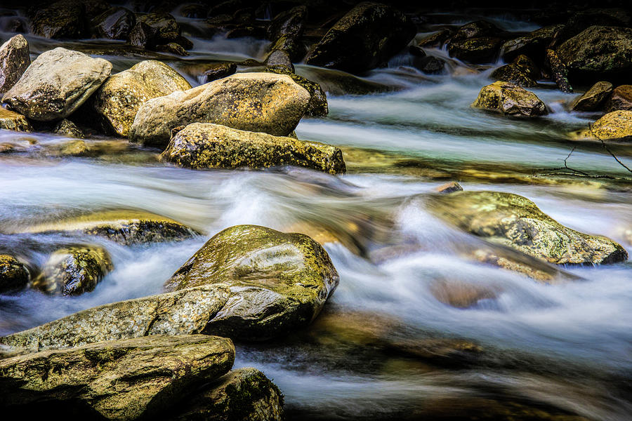 Stream in The Smoky Mountains Photograph by Randall Nyhof