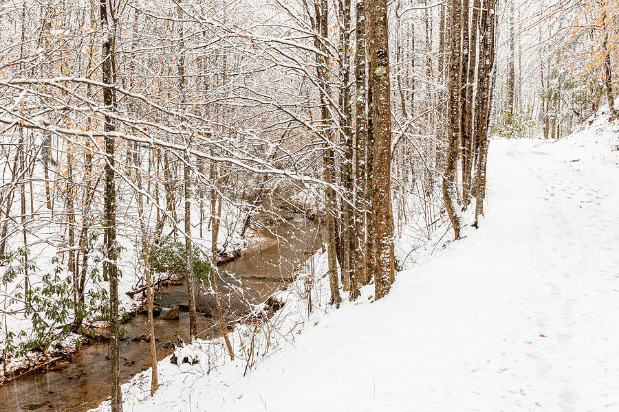 Stream in the Snow Photograph by Joni Eskridge