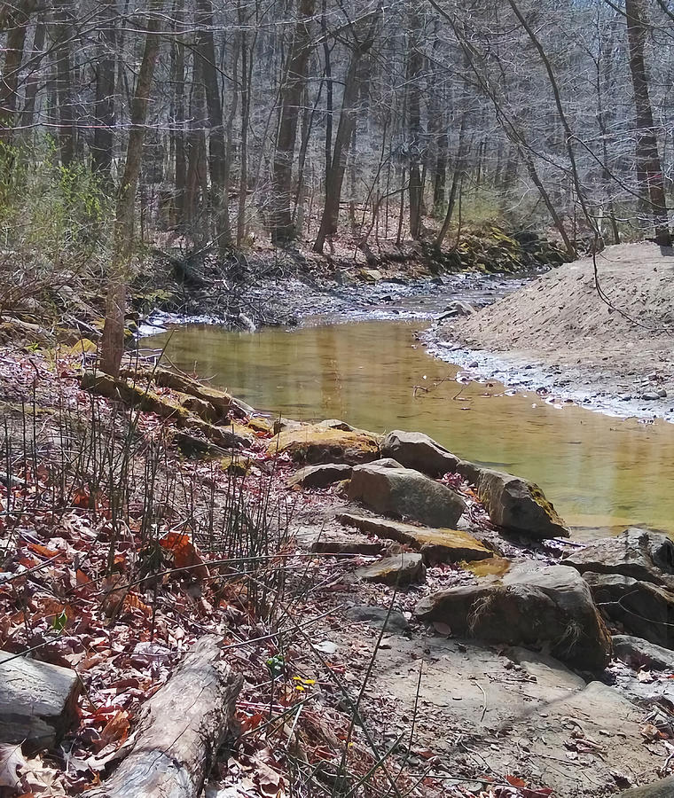 Stream In The Woods Poster Painting By Parker Ellie - Fine Art America