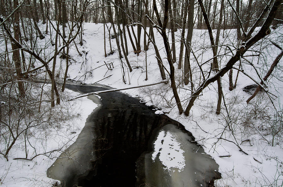 Stream in Winter Photograph by Mark Belfield - Fine Art America