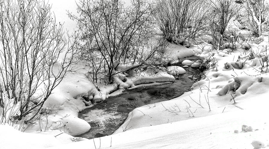 Winter Photograph - Stream in Winter by Olivier Le Queinec