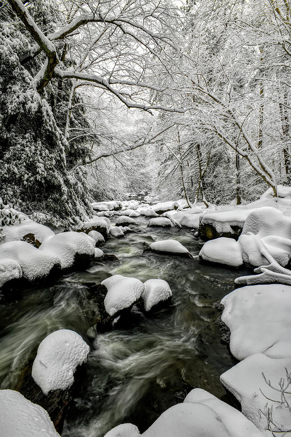 Stream in winter with snow covered branches Photograph by Dan Friend