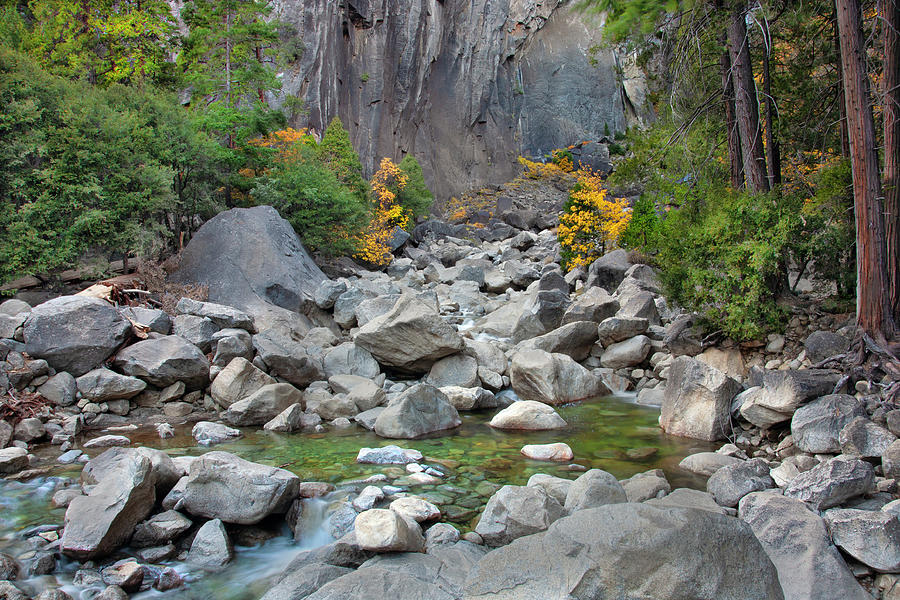 Stream in Yosemite National Park Photograph by Matthew Bamberg