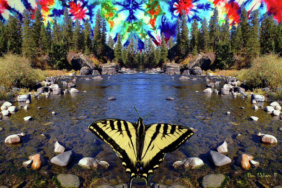 Stream of Eternal Consciousness #2 with Butterfly Photograph by Ben Upham III