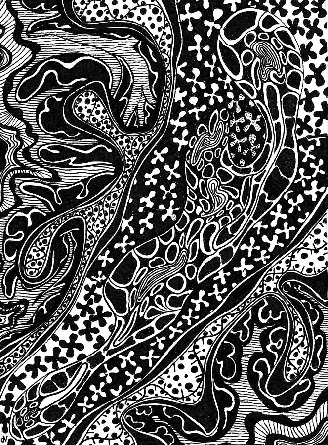 Stream Drawing - STREAM Series ELEMENTS by Nives Palmic