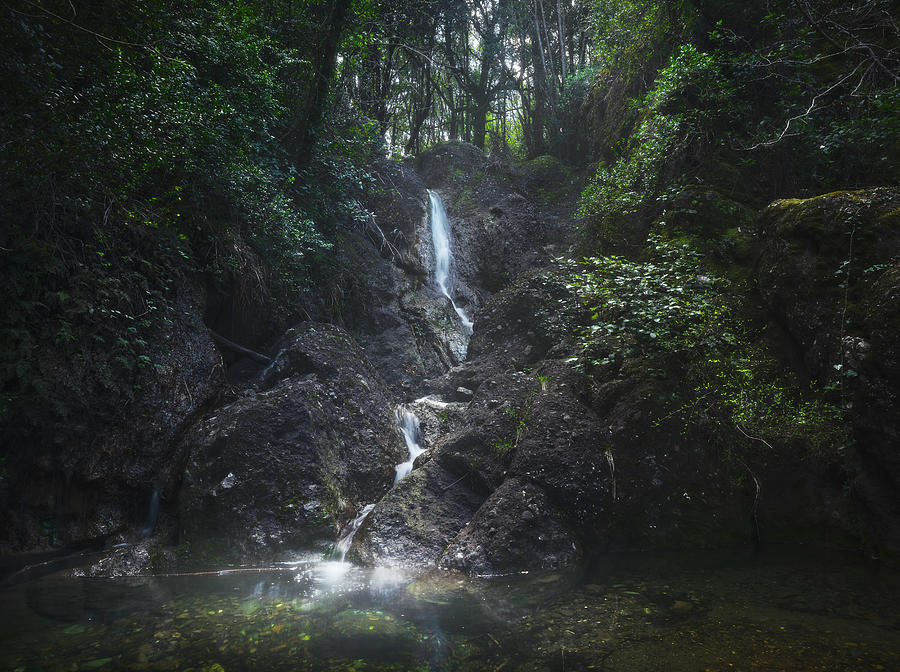 Stream waterfall inside a forest. Bibbona, Tuscany, Italy. Photograph by Stefano Orazzini
