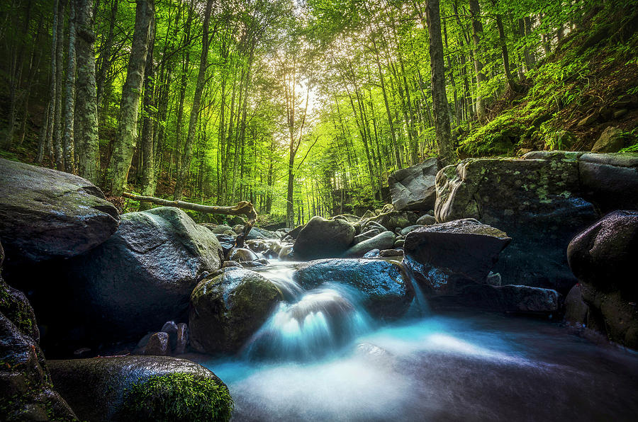 Stream waterfall inside a forest. Tuscany Photograph by Stefano Orazzini