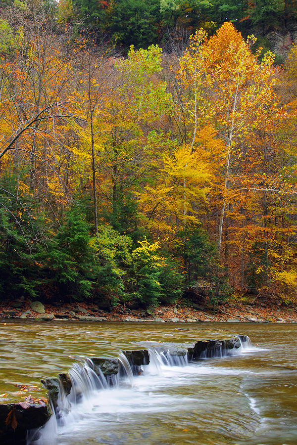 Colorful Trees Surrounding Flowing Stream Photograph by Kenneth Lane Smith