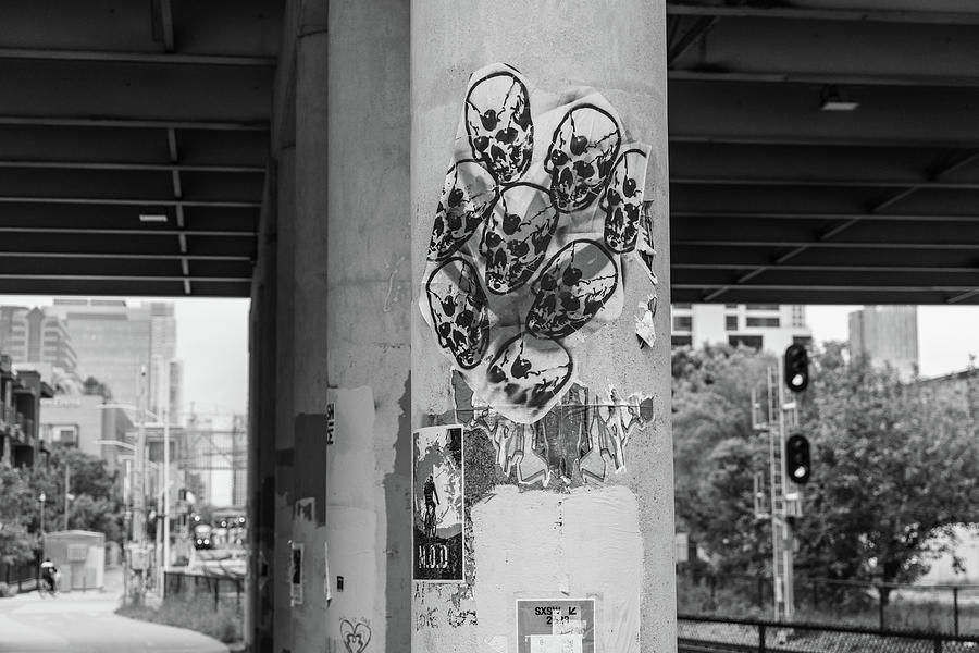 Street art in Austin Black and White 2 Photograph by John McGraw