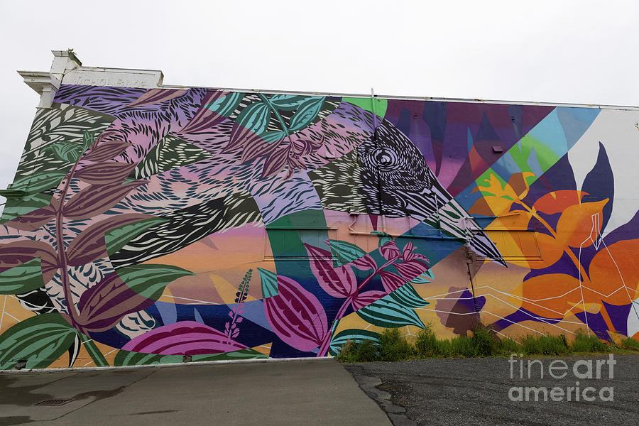 Colorful Photograph - Street Art in Bluff NZ by Eva Lechner
