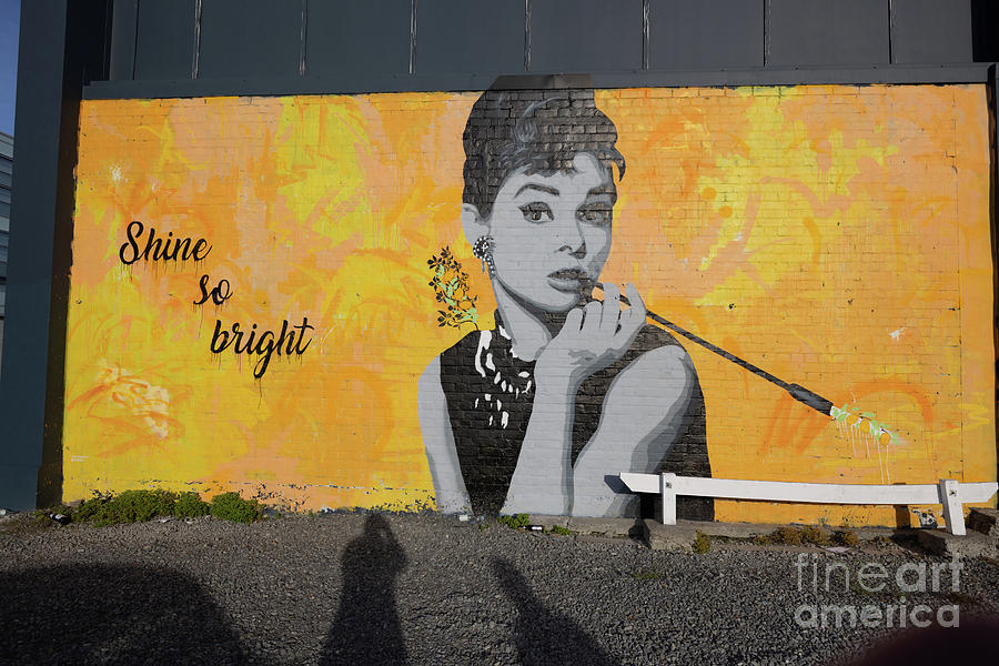 Street Art in Christchurch 4 Photograph by Eva Lechner Fine Art America