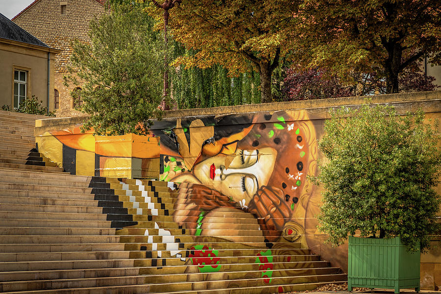 Street Art In Metz, France Photograph by Elvira Peretsman
