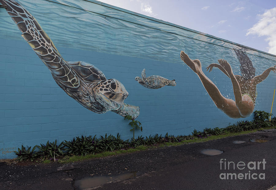 Mural Photograph - Street Art in Paia,Maui by Eva Lechner