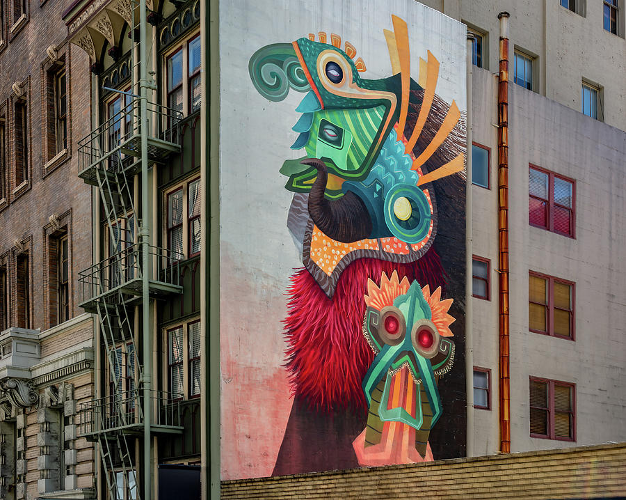 Street Art of San Francisco Photograph by Marcy Wielfaert