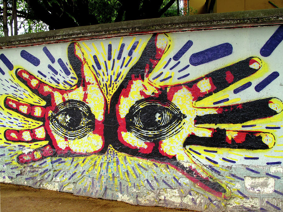 Street Art on Avenida Chapultepec Oaxaca Mexico Painting by Lorena Cassady