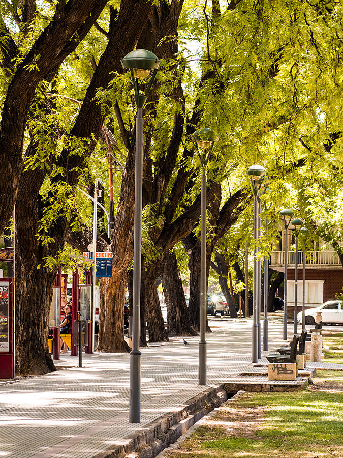 Street in Mendoza, Argentina Photograph by Holgs